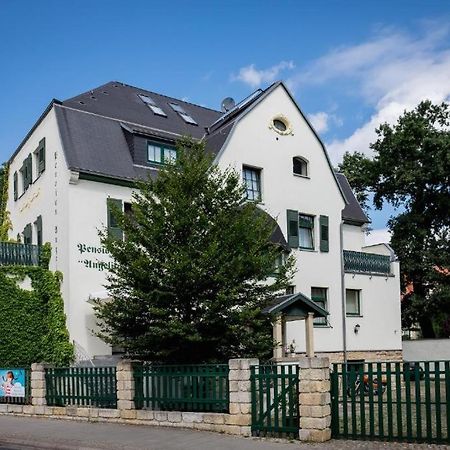 Villa Angelika Dresden Exterior foto